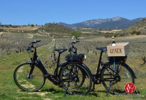 Visita al viñedo de Izadi con bici eléctrica