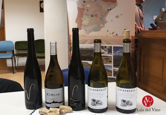 Los vinos asturianos, un descubrimiento